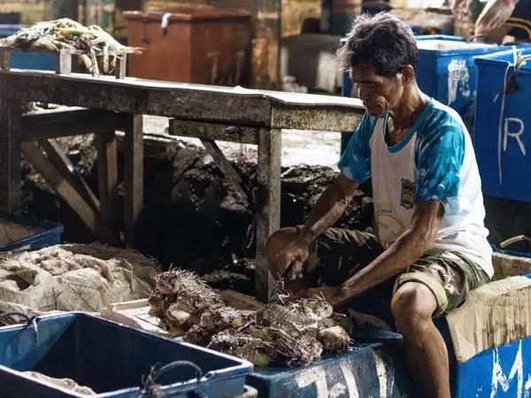 Loại cá độc chết người trở thành đặc sản của Philippines như thế nào?-2