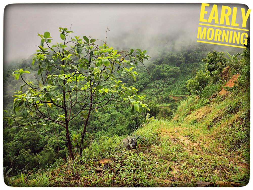 Đón con thứ 2 sau 5 năm về chung nhà, tình cũ của Hari Won hiện sở hữu không gian sống thế nào?-10