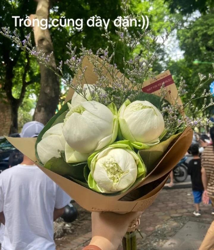 Dân mạng mách nhau cẩn thận kẻo mua phải hoa sen giả khi chụp ảnh thu Hà Nội-1