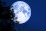 Siêu trăng hiếm gặp rực sáng trên bầu trời Hà Nội-6