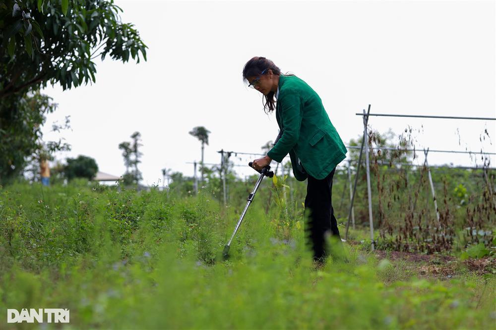 Hoa hậu 6 con Oanh Yến: Vượt cú sốc tinh thần, an yên tại nông trại 10ha-4