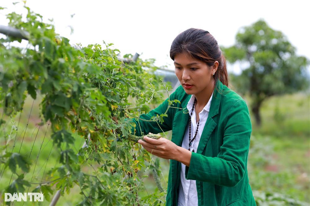 Hoa hậu 6 con Oanh Yến: Vượt cú sốc tinh thần, an yên tại nông trại 10ha-5