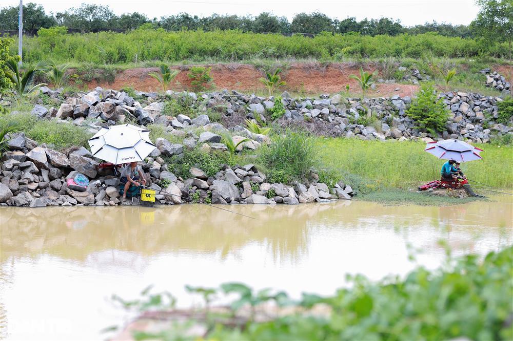 Hoa hậu 6 con Oanh Yến: Vượt cú sốc tinh thần, an yên tại nông trại 10ha-12