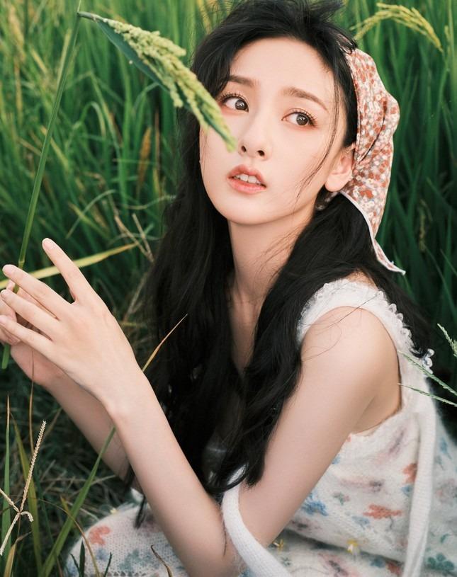 Nữ diễn viên bị tố lập công ty ma, trốn thuế-3