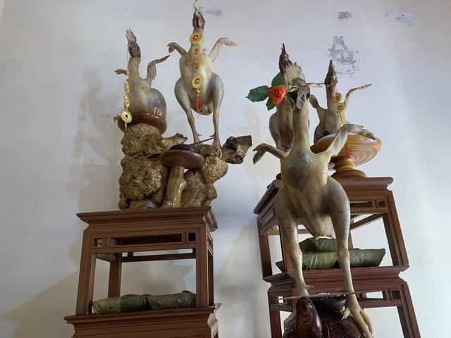 Cận cảnh phi đội gà bay nổi tiếng trong mâm cúng rằm tháng 7 ở Hà Tĩnh-8