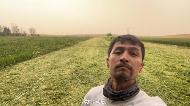 Hồ Ca khiến fan lo lắng vì vẻ ngoài xuống sắc, phát ngôn tiêu cực-1