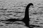 'Thợ săn' quái vật hồ Loch Ness công bố bức ảnh thủy quái huyền thoại?