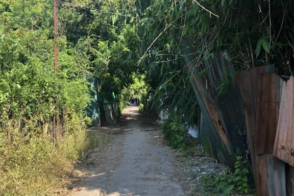 Người phụ nữ đâm chết chồng hờ vì không muốn nối lại tình xưa-1