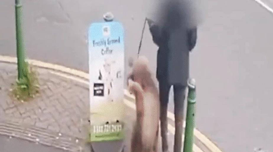 Cụ bà gặp tai nạn bất ngờ khi dắt chó cưng đi dạo khiến cảnh sát lập tức điều tra-1