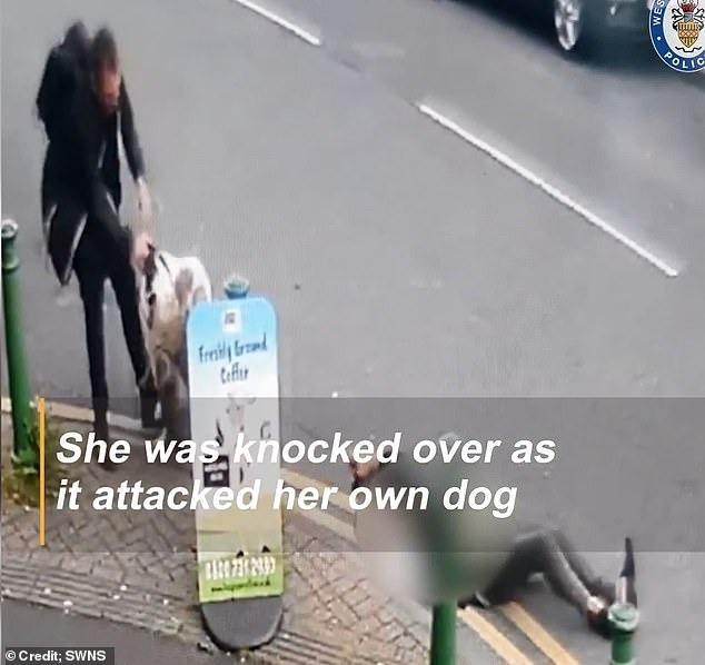 Cụ bà gặp tai nạn bất ngờ khi dắt chó cưng đi dạo khiến cảnh sát lập tức điều tra-2