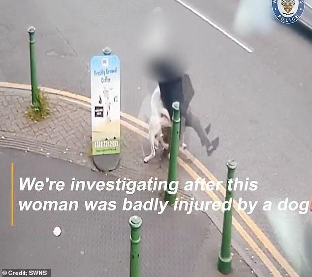 Cụ bà gặp tai nạn bất ngờ khi dắt chó cưng đi dạo khiến cảnh sát lập tức điều tra-3