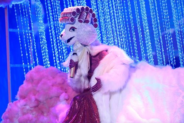 Bảo Anh bật khóc vì phần trình diễn xúc động của Voi Bản Đôn-8