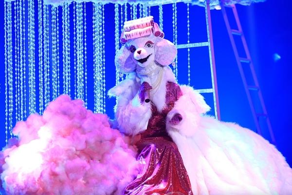 Bảo Anh bật khóc vì phần trình diễn xúc động của Voi Bản Đôn-9