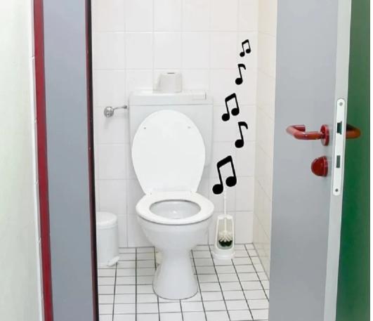 Những điều kỳ lạ ở nhà vệ sinh tại các nước trên thế giới-4