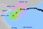 Biển Đông có thể đón bão vào giữa tuần tới-2
