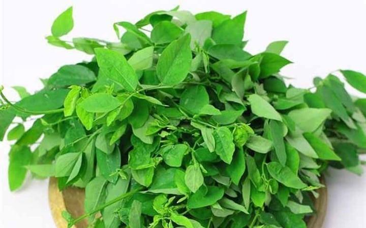 Những công dụng trị bệnh của rau ngót bạn nên biết-1