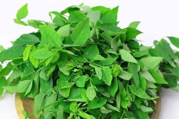 9 công dụng tuyệt vời của hạt vừng đối với sức khỏe-2