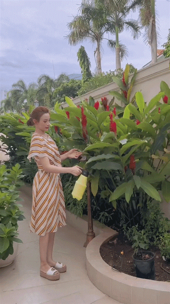 Vườn cây trong biệt thự 100 tỷ của Huyền Baby, nơi chồng đại gia làm cho vợ sống ảo-2