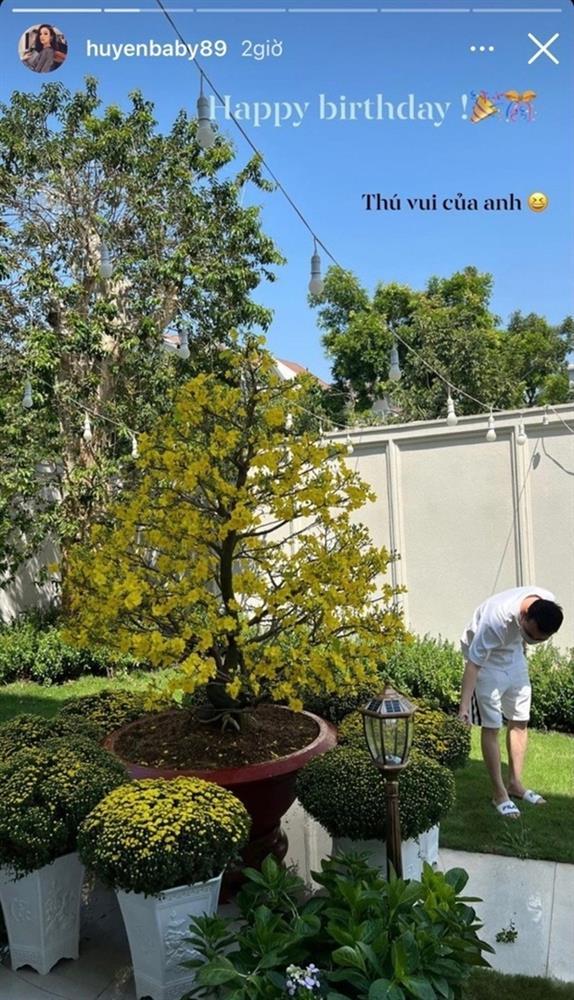 Vườn cây trong biệt thự 100 tỷ của Huyền Baby, nơi chồng đại gia làm cho vợ sống ảo-3