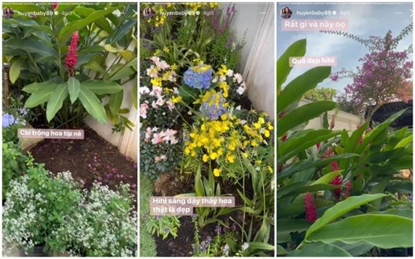 Vườn cây trong biệt thự 100 tỷ của Huyền Baby, nơi chồng đại gia làm cho vợ sống ảo-4