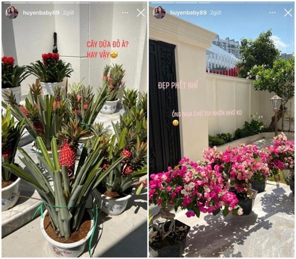 Vườn cây trong biệt thự 100 tỷ của Huyền Baby, nơi chồng đại gia làm cho vợ sống ảo-5