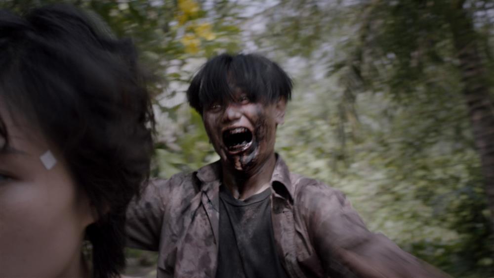 Thảm họa mới của điện ảnh Việt-4