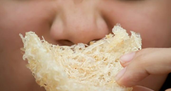 Cách phân biệt tổ yến thật và tổ yến giả-2