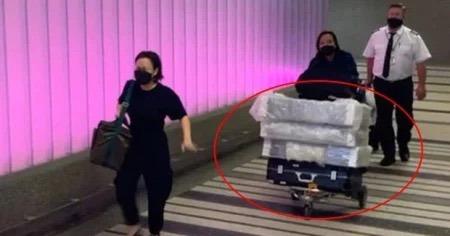 Việt Hương kể hành trình khó khăn khi đưa tro cốt Phi Nhung về Mỹ-1