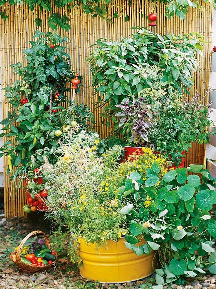 Những ý tưởng thiết kế vườn rau ấn tượng dù không gian nhỏ hẹp-9