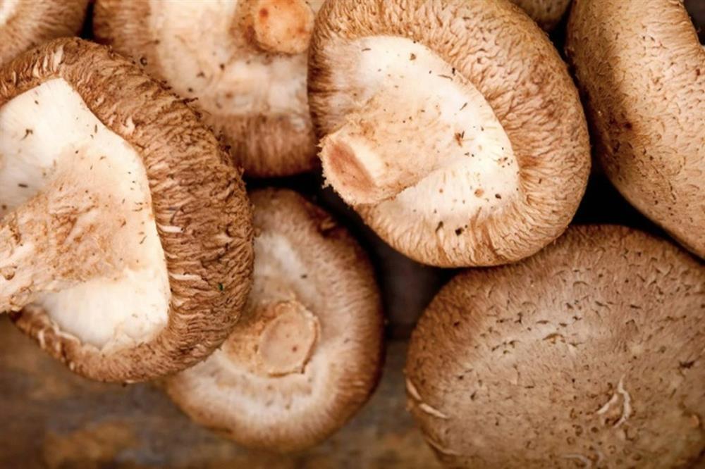 7 thực phẩm trường thọ của người Nhật, nhiều loại Việt Nam cũng có-2