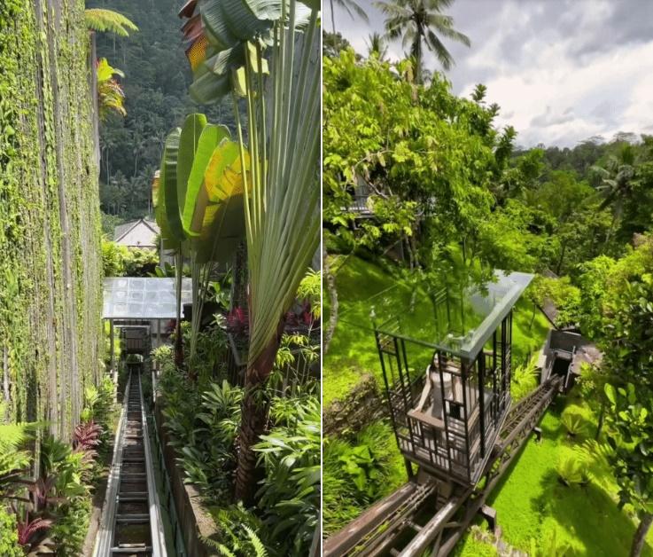 Thang máy sống ảo gặp sự cố, 5 người thiệt mạng trong khu nghỉ dưỡng-3