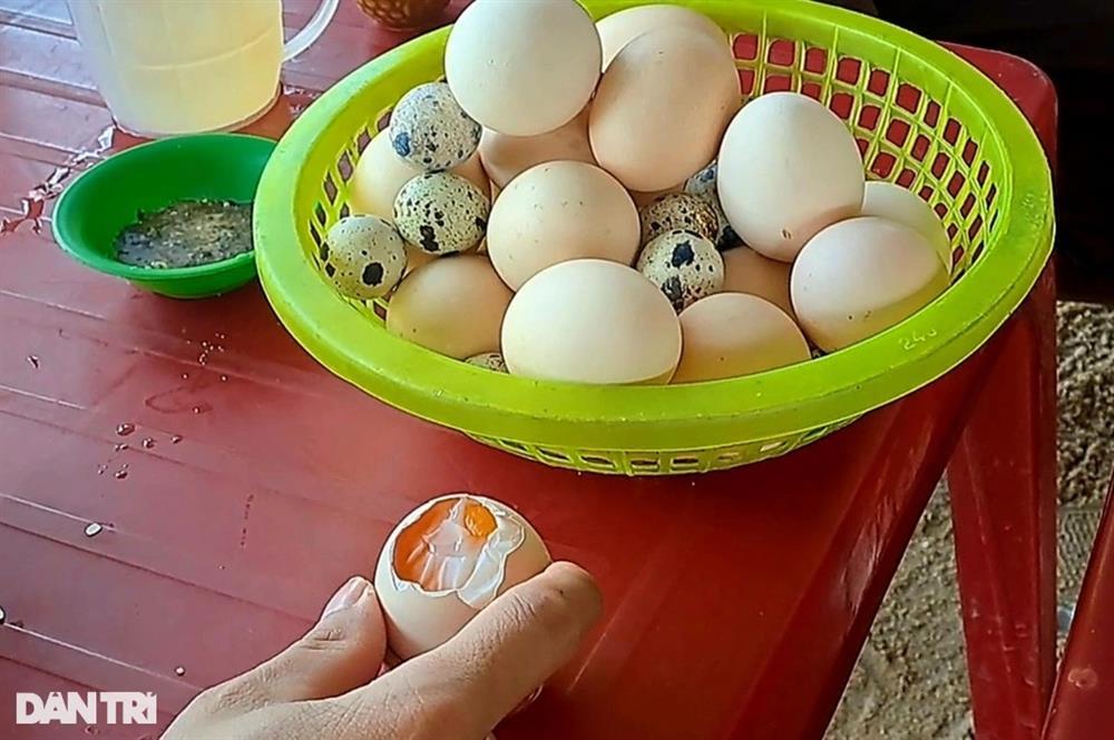 Độc lạ suối nóng ở Bình Định, nước sôi sùng sục luộc chín trứng gà-2