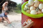 Độc lạ suối nóng ở Bình Định, nước sôi sùng sục luộc chín trứng gà