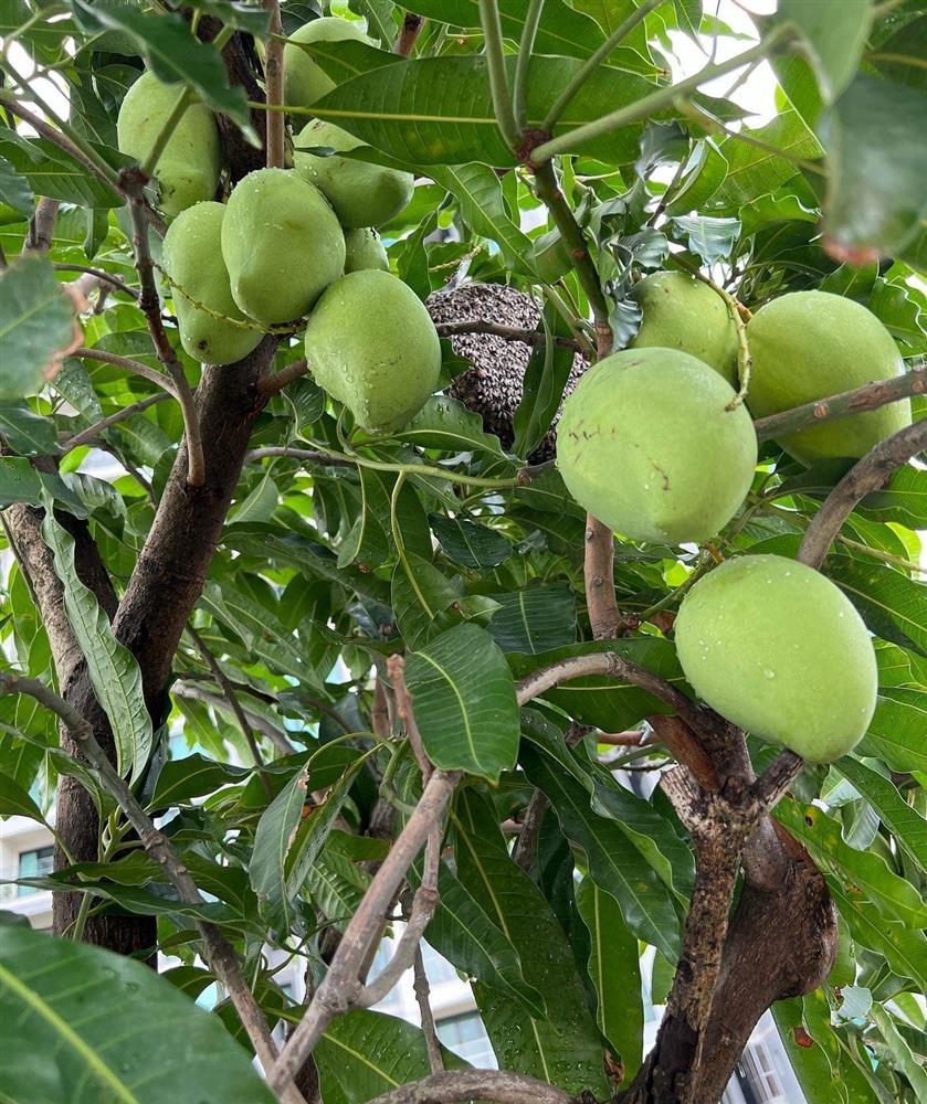 Nhà phố 100m2 ai ngắm cũng ngất ngây của diễn viên Diệp Bảo Ngọc-7