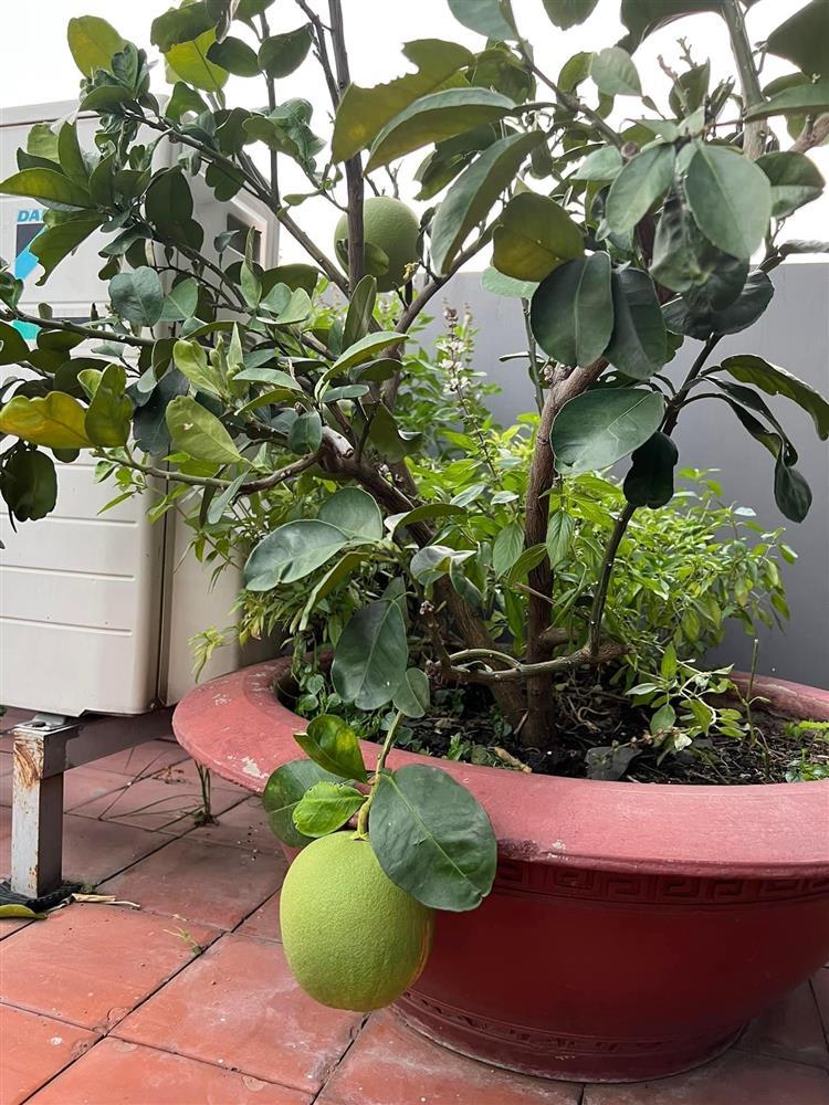 Nhà phố 100m2 ai ngắm cũng ngất ngây của diễn viên Diệp Bảo Ngọc-8