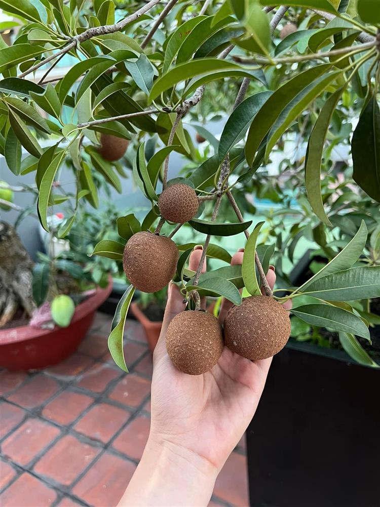 Nhà phố 100m2 ai ngắm cũng ngất ngây của diễn viên Diệp Bảo Ngọc-9