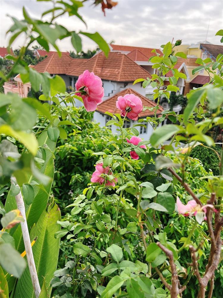 Nhà phố 100m2 ai ngắm cũng ngất ngây của diễn viên Diệp Bảo Ngọc-11