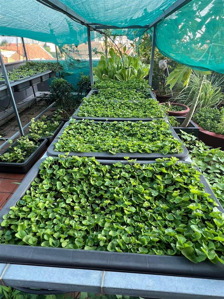 Nhà phố 100m2 ai ngắm cũng ngất ngây của diễn viên Diệp Bảo Ngọc-12