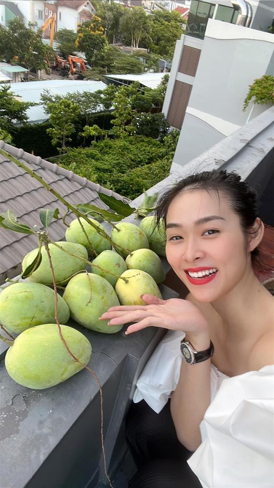 Nhà phố 100m2 ai ngắm cũng ngất ngây của diễn viên Diệp Bảo Ngọc-15