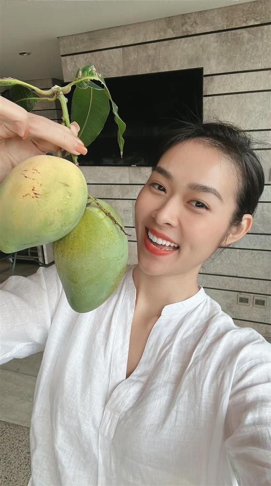 Nhà phố 100m2 ai ngắm cũng ngất ngây của diễn viên Diệp Bảo Ngọc-17