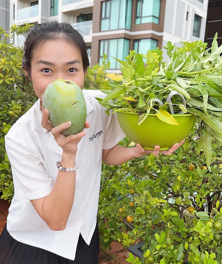 Nhà phố 100m2 ai ngắm cũng ngất ngây của diễn viên Diệp Bảo Ngọc-19