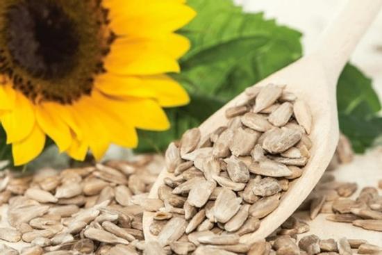 Hạt hướng dương có thực sự tốt cho sức khỏe?