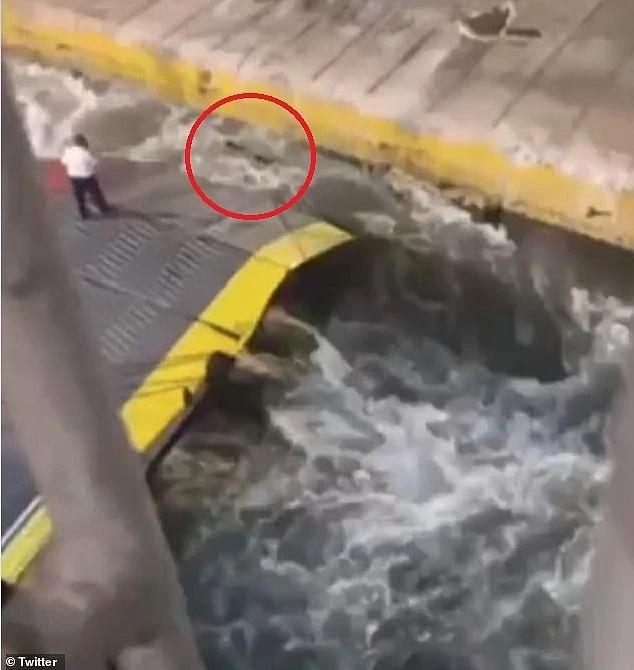 Hành khách đi tàu chết tức tưởi vì bị đẩy xuống biển, video diễn biến sự việc gây phẫn nộ-3