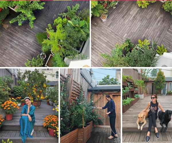 2 mẹ chồng giàu có, quyền lực đều quý Tăng Thanh Hà bởi chi tiết cực kỳ tế nhị này-5