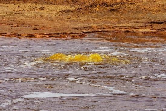 Hồ nước 'sát thủ' mặn nhất thế giới, chim chóc không thể sống khi bay sát mặt hồ