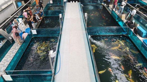 Hôn nhân rình rang kết thúc chỉ sau hơn 1 năm chung sống, Hà Thanh Xuân và Vua cá Koi hiện sở hữu cơ ngơi thế nào?-6