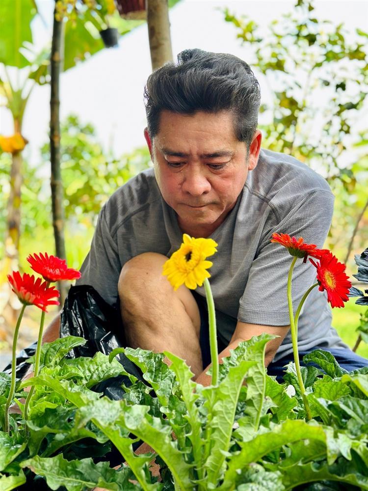 Tài tử Huỳnh Anh Tuấn: Ở nhà tranh vách lá, vui thú vườn tược tuổi 55-10