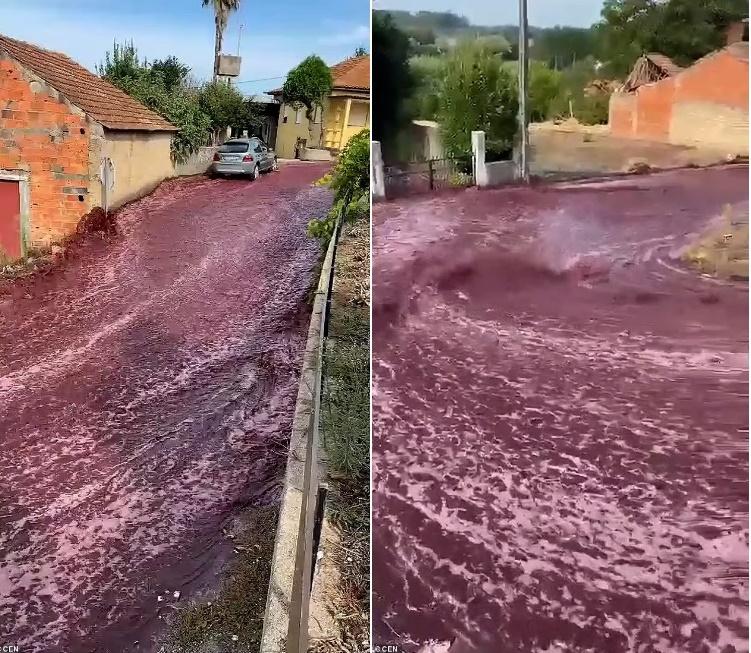 Thị trấn nhỏ ngập trong cơn lũ 2,2 triệu lít rượu vang tràn ra phố-1