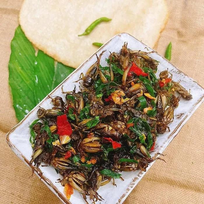 Loại côn trùng thích phiêu lưu dưới lòng đất được săn lùng, dân nhậu đếm con tính tiền-3