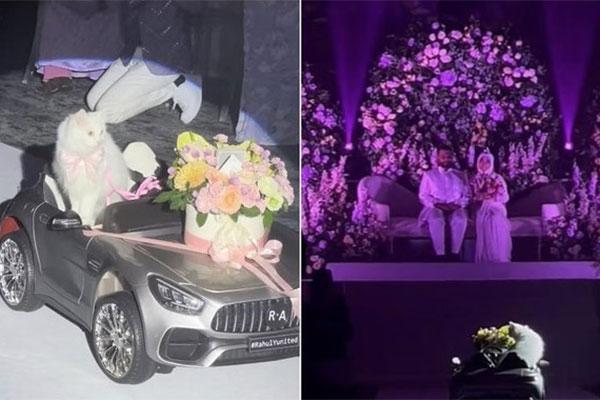 Cưới một lúc 7 người vợ, chú rể ở Uganda tặng mỗi cô dâu một ô tô mới-3